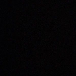 Meet your Posher, Rhiannon